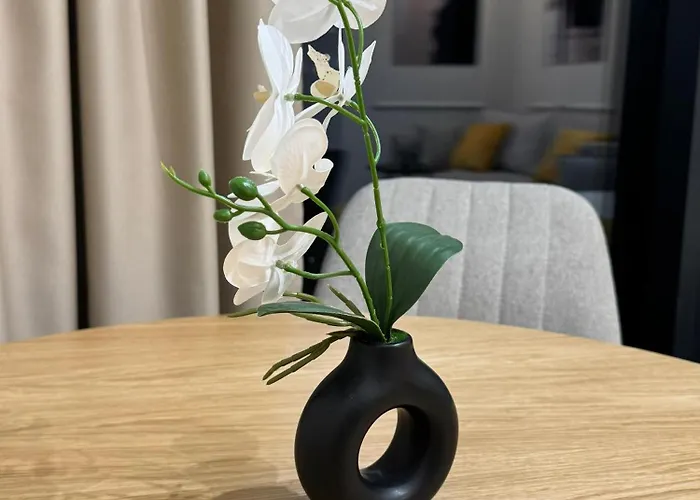 Skydistrict דירה